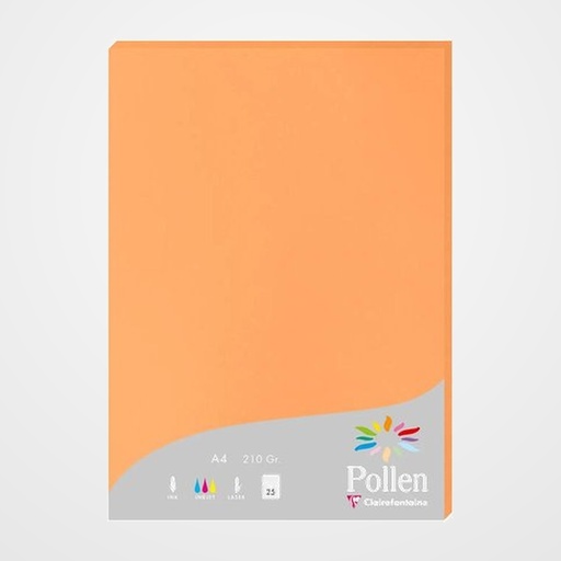 PAPEL CLAIREFONTAINE POLLEN A4 210g 25h CLEMENTINA