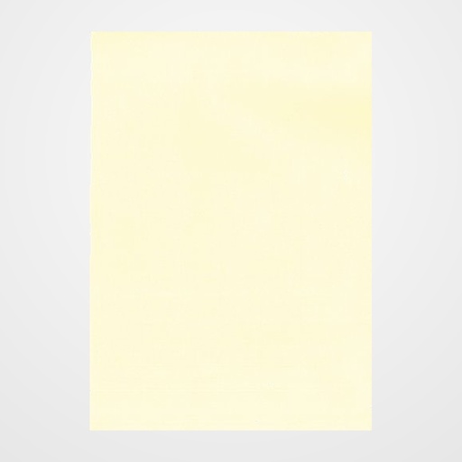 PAPEL VERJURADO A4 APLI 100g 100h CREMA