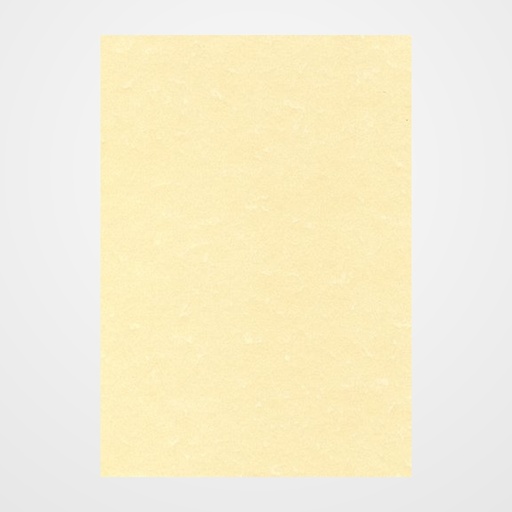 PAPEL PERGAMINO A4 APLI 95g 100h CHAMPAN