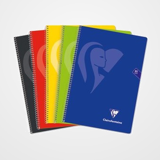 BLOC CLAIREFONTAINE MIMESYS Fº 80h 4x4 90g COLORES VIVOS