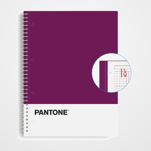BLOC ESCOLOFI NOTEBOOK PANTONE BASIC A4 80h  CUADRIC.5x5 90g VIOLETA