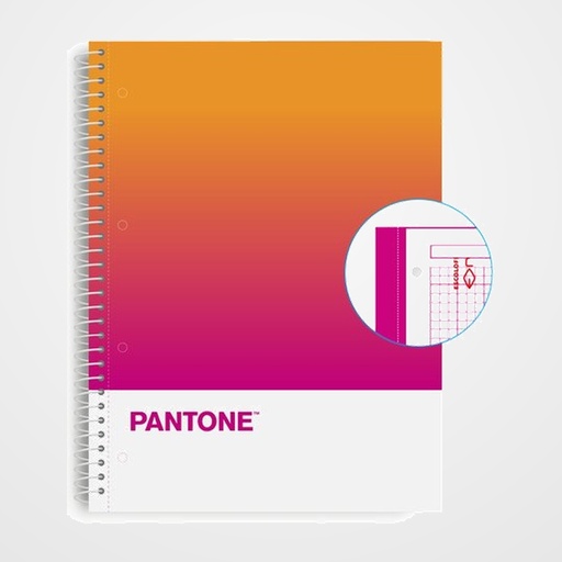 BLOC ESCOLOFI NOTEBOOK PANTONE TOGETHER A4 80h  CUADRIC.5x5 90g CREATIVITY