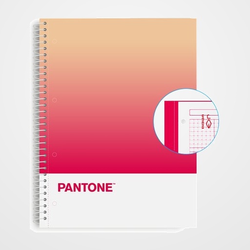 BLOC ESCOLOFI NOTEBOOK PANTONE TOGETHER A4 80h  CUADRIC.5x5 90g RESPECT