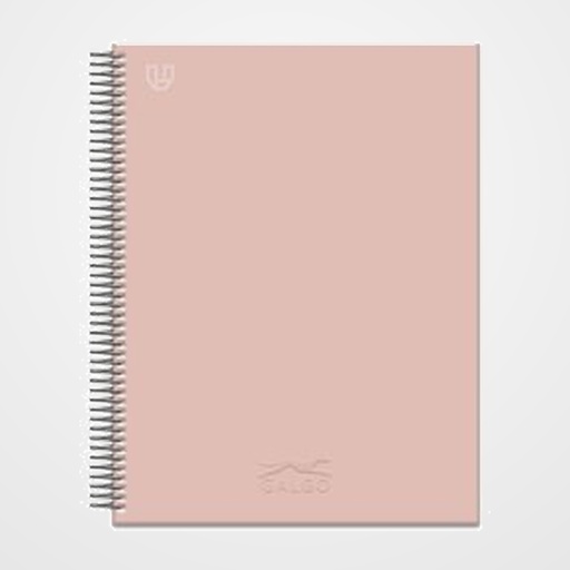 BLOC GALGO micro.tapa EXTRA A4+ 100h LISO 100g 5 COL. BANDA ROSA