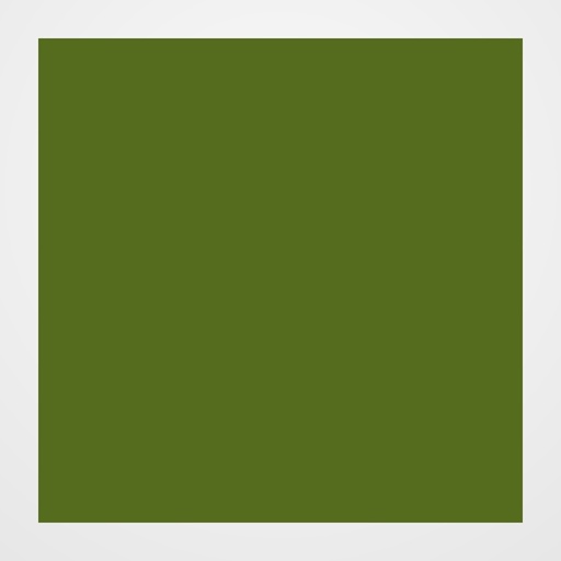 CARTULINA A3 IRIS 185g VERDE SAFARI PAQUETE de 50