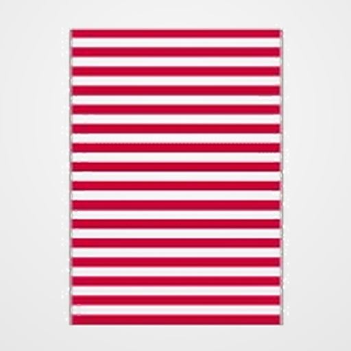 BOLSA DISFRAZ 65x90 cm. IMPRESA BLANCO/ROJO