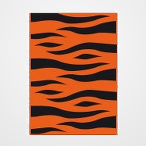 BOLSA DISFRAZ 65x90 cm. IMPRESA NARANJA/NEGRO