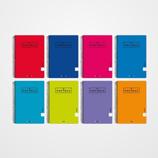 BLOC PAPYRUS tapa NORMAL Fº 80h LISO 90g COL.SURT.