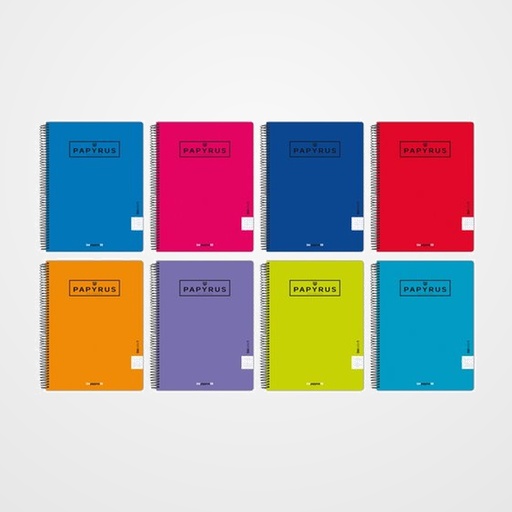 BLOC PAPYRUS UNICLAS1 tapa PP A4+ 80h CUADRIC.5x5 90g COL.SUR.