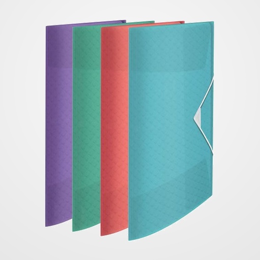 CARPETA de GOMAS y SOLAPAS ESSELTE PP COLOUR BREEZE A4  COLORES SURTIDOS
