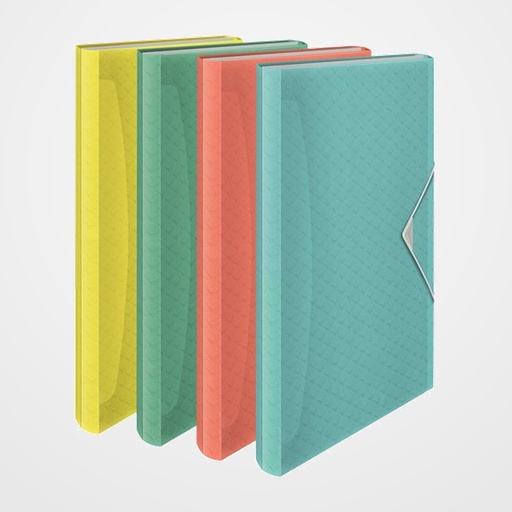 CLASIFICADOR ACORDEON ESSELTE PP COLOUR BREEZE A4 6 SEPARAD. COLORES SURTIDOS