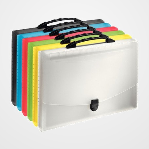 CLASIFICADOR ACORDEON ESSELTE PP VIVIDA 12 SEPARAD.con ASA  SURTIDO