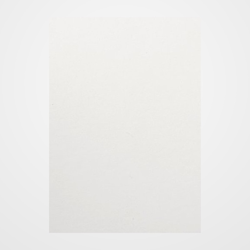 BOLSA de PAPEL TV CELULOSA 18x10x23 cm BLANCO PAQUETE de 25