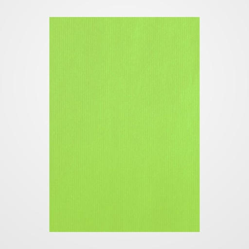 BOLSA de PAPEL TV CELULOSA 22x11x32 cm PISTACHO PAQUETE de 25