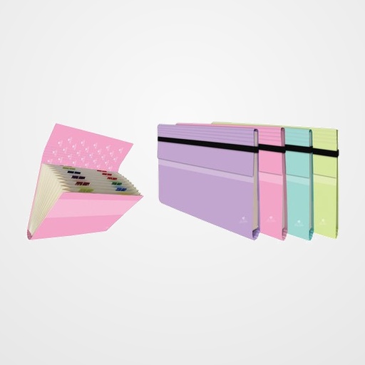 CARPETA CLASIFICADORA MARIOLA CARTON PLASTIF. Fº 12 DPTOS.GOMAS COLORES PASTEL EXPOSITOR de 20