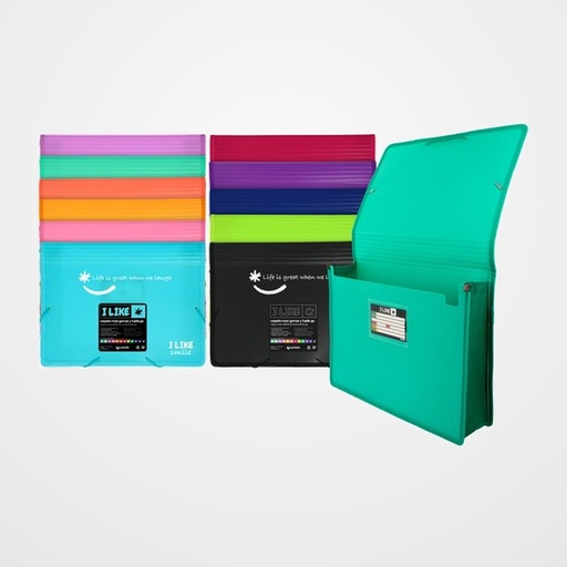 CARPETA de GOMAS y SOLAPAS GRAFOPLAS PP LIKE 2 MAXI A4 CORAL