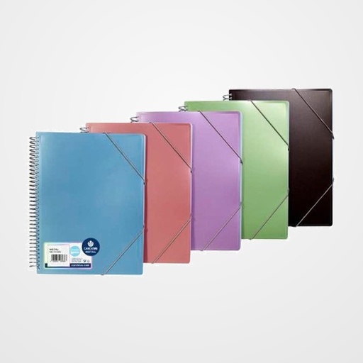 CARPETA FUNDAS (TARIFARIO) CARCHIVO METAL PP ARCHIVEX A4  20 F. SURTIDO (5 col.)