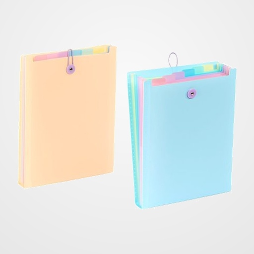 CLASIFICADOR ACORDEON VIQUEL RAINBOW PASTEL PP OPACO A4 6 DPTOS. VERTICAL CIERRE ELASTICO/BOTON INTERIOR MULTICOLOR EXTERIOR 2 COLORES SURTIDOS