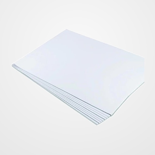 LAMINA DIBUJO FABRIANO BRISTOL 250g 50x65 LISO