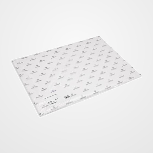 LAMINA GUARRO CANSON DIBUJO ILLUSTRATION 250g 50X65 cm