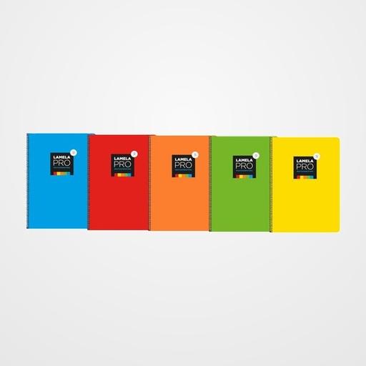 LAMELA BLOC tapa EXTRA DURA Fº 100h CUADROVIA 3 mm SURTIDO (5 col.) (5 colores en banda)