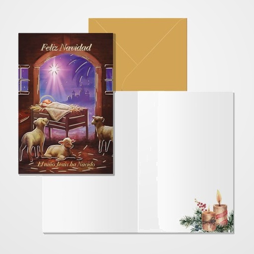 CHRISTMAS DOHE 115x170 JESUS