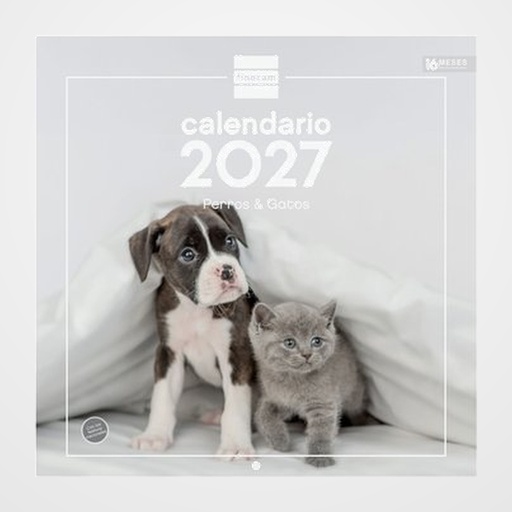 CALENDARIO (2027) FINOCAM PARED IMAGENES MENSUAL PARA ESCRIBIR 300x300 PERROS Y GATOS