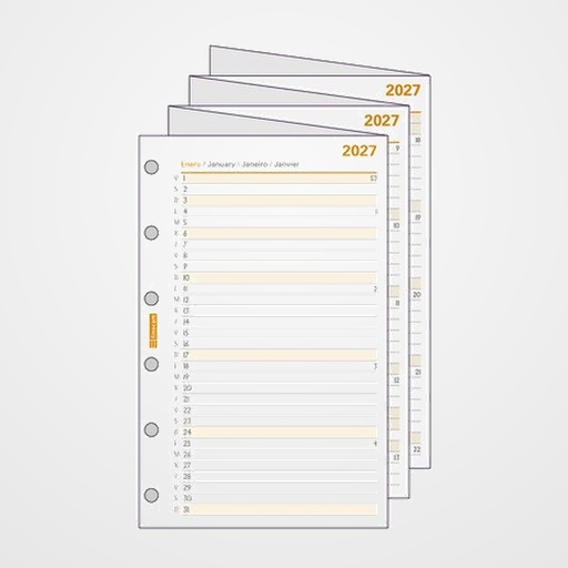 RECAMBIO AGENDA ANUAL (2027) FINOCAM C296 CLASSIC 602 73x114 PLANIFICADOR DESPLEGABLE ANUALIDAD