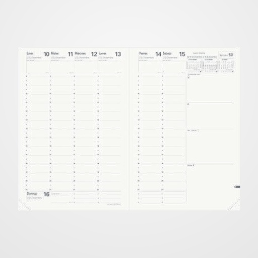 RECAMBIO AGENDA ANUAL (2027) QUO VADIS MINISTRE SP 160x240 S/V 2 PAG.