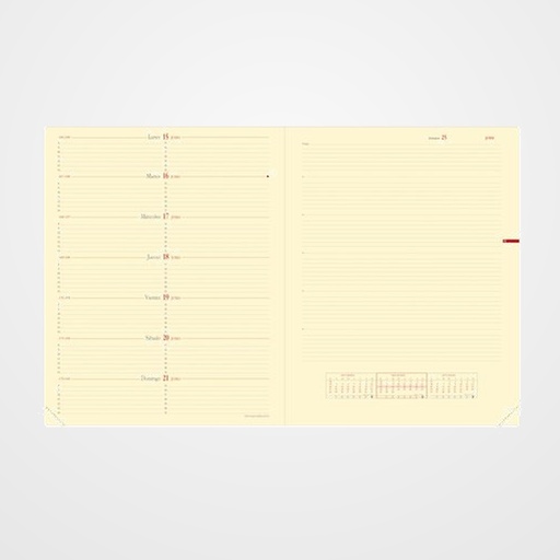 RECAMBIO AGENDA ANUAL (2027) QUO VADIS NOTE 27 SP 270x210 S/V CON NOTAS