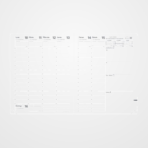 RECAMBIO AGENDA ANUAL (2027) QUO VADIS PRESIDENT SP 210x270 S/V 2 PAG.