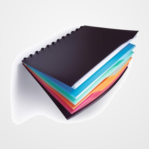CARPETA FUNDAS (TARIFARIO) DURALOOK STY PP A4 20 F. + 4 SEPARARADORES EN COLOR SURTIDO