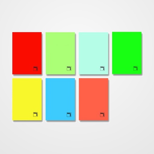 LIBRETA PACSA ESCOLAR GOFRADA A4 48h 70g CUADRIC.46 SURTIDO (7 col.)